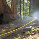 Illustration for article titled The Gear Crews Use to Snuff Out the Rim Fire